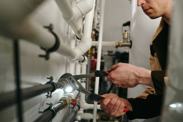 Best Local Plumber Services  in Morrisville, NY